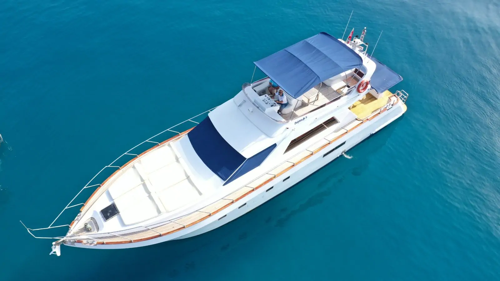 Yacht Dolphins5